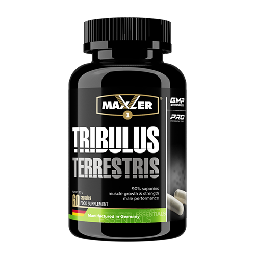 TRIBULUS TERRESTRIS 90%