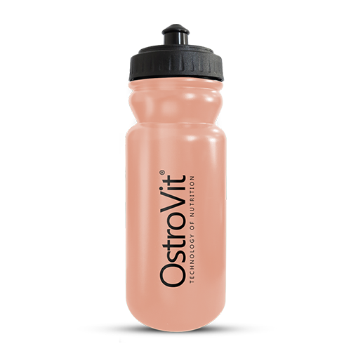 BOCA ZA VODU 600ml