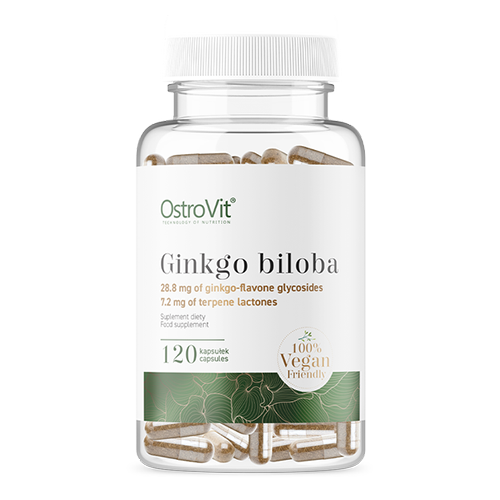 GINKGO BILOBA