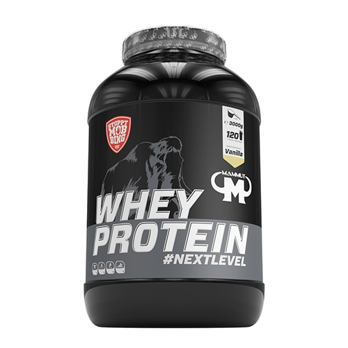 WHEY PROTEIN 3000g