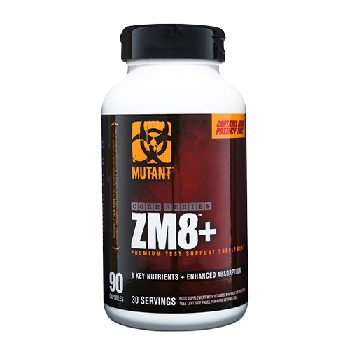 ZM8+