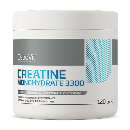 CREATINE MONOHYDRATE 3300