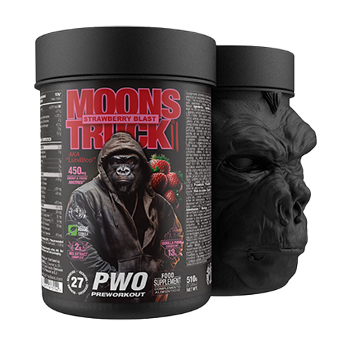 MOONS TRUCK II 510g